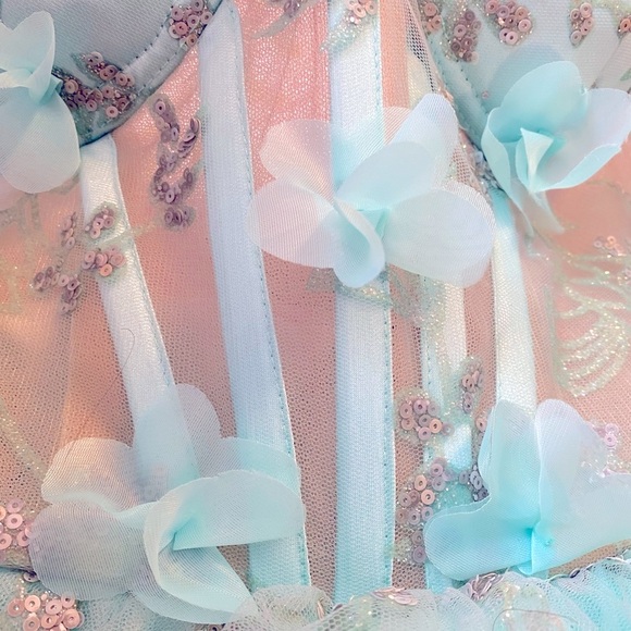 Corset Style Lace Up Back Pageant Prom Formal Quinceañera Dress Size Small - Picture 9 of 14